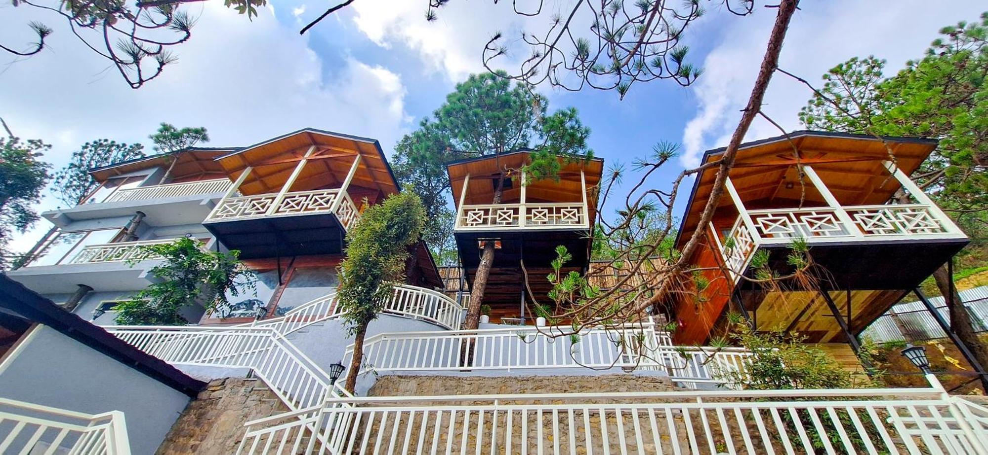 Koro Treehouse Luxury Wooden And With Private Pool Homestay *