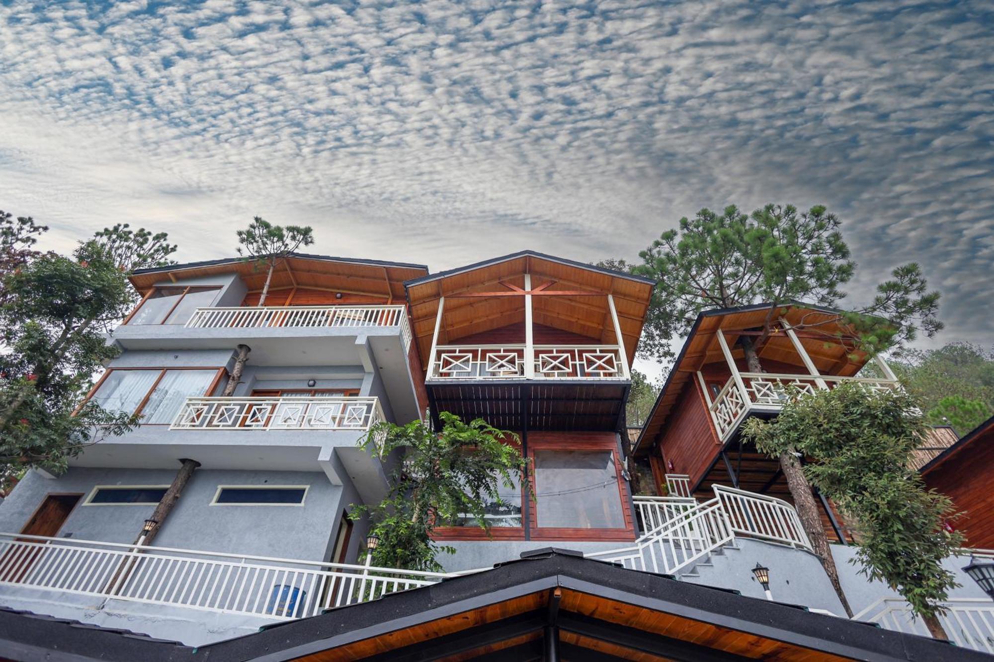 Koro Treehouse Luxury Wooden And With Private Pool Homestay *