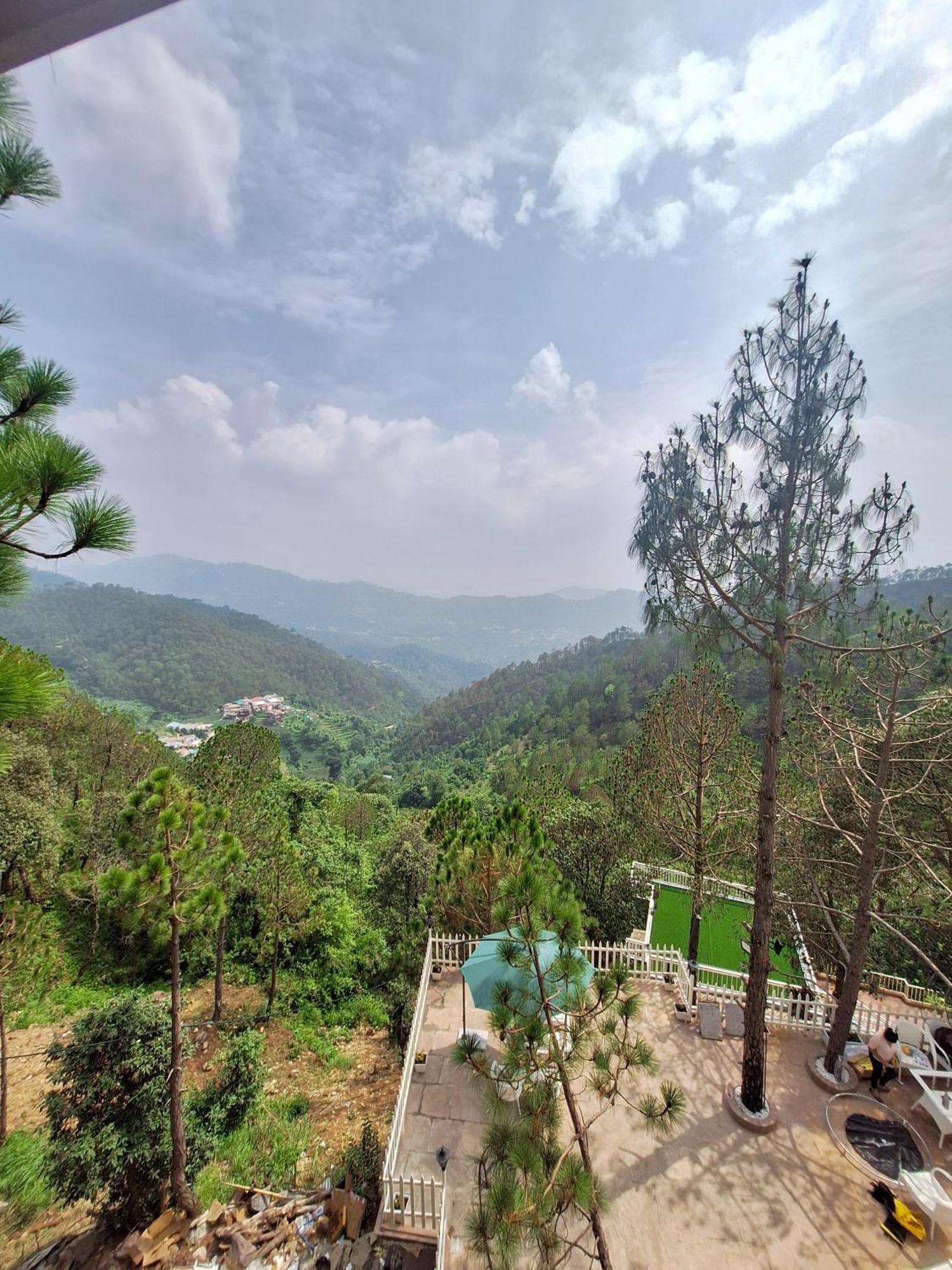 Koro Treehouse Luxury Wooden And With Private Pool Homestay Kasauli